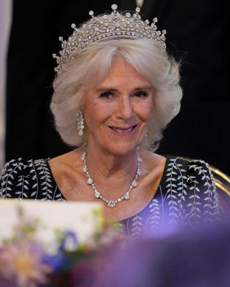 The king and Queen Camilla attend reception and dinner in honour of ...